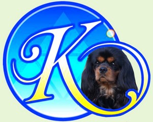 De Kroquant